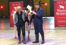 Met de bus naar Hanna van Hendrik