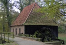 Vrijwillige Molenaar – een euwenoude traditie