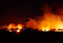Gevaar natuurbranden door droogte