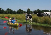 Help ons en vul het onderzoek in!