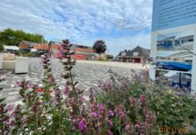 Vandalisme Kaasplein