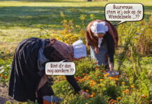 Wendezoele in de finale landelijke Erfgoedvrijwillig