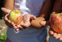 Boerderijlunch: voedzaam plezier!