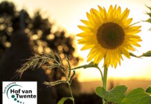 Doe mee aan de gedichtenwedstrijd