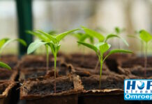 Hoffelijk Tuinieren bij Hofstreek Omroep