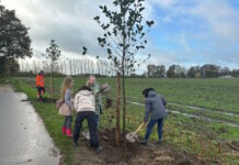 Nationale Boomfeestdag: Kinderen planten 14 Elzen in GoorÂ