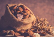 Sinterklaasintocht in Goor