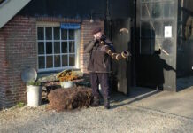 Midwinterwandeling Delden