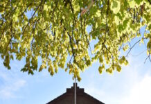 Sacha de Boer “voor en achter de camera”