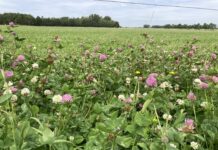 12 april Opendag stadslandbouw Hof van Twente