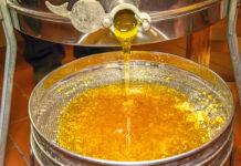 Zomerhoning slingeren bij de Wendezoele