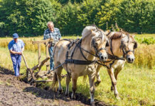 Akkers bewerken met paard en ploegÂ