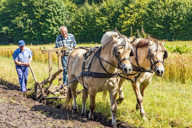 Akkers bewerken met paard en ploeg 