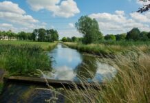 Blauwalg gevonden in vijver woonwijk Heeckeren Goor