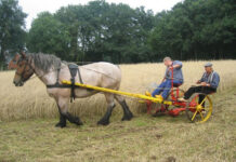 Oogstdag 2024 Markelo