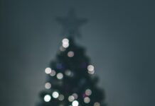 Kerstviering in de Ark