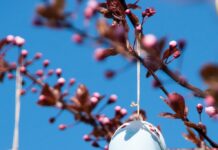 Paasuitzending bij Hofstreek Omroep