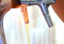 Seniorenmiddag 2025 – Deel 2