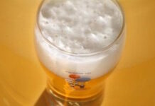 Allegorische Optocht 2025