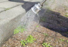 Geld voor onkruidbestrijding