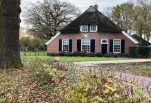 Geschiedenis Dichtbij: Verleden en toekomst; een geheel