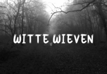 John Haxe winnaar tweede prijs Twens Amateurfilmfestival