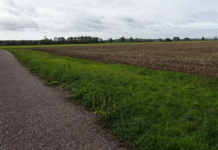 Tijdelijk stop voor nieuwe lelieteelt in Hof van Twente