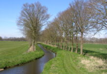 Hof van Twente maakt zich sterk voor schoon water: ‘Kan de Regge drinkbaar worden?
