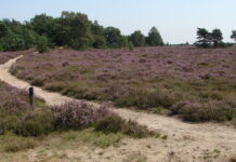 Provincie Overijssel pakt problemen rond De Borkeld aan: verdroging, stikstof en vastgelopen vergunningen