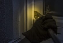 Inbraak aan het Cramerswegje in Delden: politie zoekt getuigen