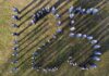 Diepenheimse Harmonie viert 125-jarig jubileum met groots Pinksterfeest