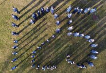 Diepenheimse Harmonie viert 125-jarig jubileum met groots Pinksterfeest