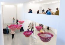 Drawing Centre Diepenheim toont werk over de wortels van al het leven