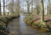 Waterwandeling en workshop waterkwaliteit tijdens Twentse Waterweken