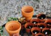 Planten, stekjes, zaden en bloemen in Diepenheim, Goor en Markelo