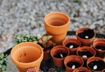 Planten, stekjes, zaden en bloemen in Diepenheim, Goor en Markelo