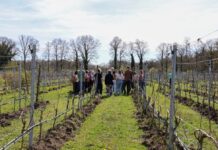 Europese delegatie bezoekt Hof van Twente voor kennisuitwisseling over plattelandsontwikkeling