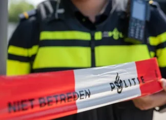 Meerdere voertuigen botsen op N741 bij Ambt Delden: één gewonde gecontroleerd