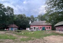 Negen avonden, 7.500 toeschouwers: ‘Zorgen op ’n Brugginkskaamp’ in de Kösterskoele