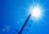 Het wordt warm: dit kunt u doen en zo helpen wij elkaar 020dcb66 4612 43b6 863e 365cd0b79ce7 4k