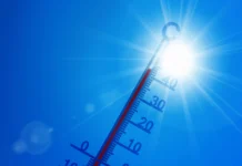 Het wordt warm: dit kunt u doen en zo helpen wij elkaar 020dcb66 4612 43b6 863e 365cd0b79ce7 4k