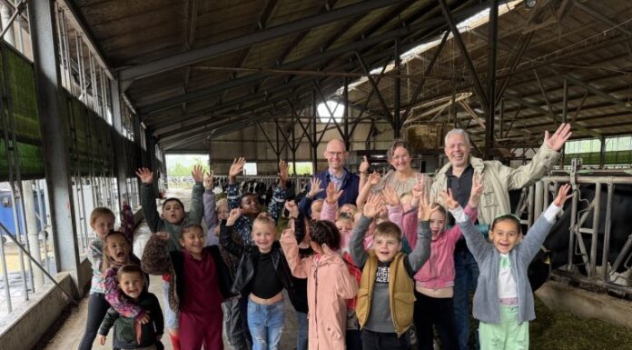 Foto bij het nieuwsbericht Schoolklassen bezoeken de boer Week voor de gezonde jeugd 768x576