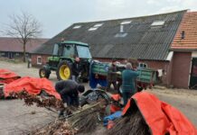 Flinke korting op groen voor inwoners van Hof van Twente Boomdeeldagen