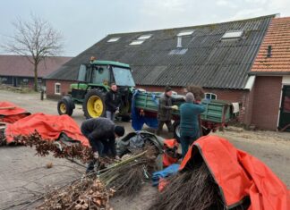Flinke korting op groen voor inwoners van Hof van Twente Boomdeeldagen