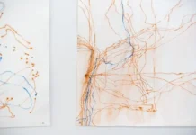 Drawing Centre Diepenheim opent tentoonstelling over verhalen achter gras