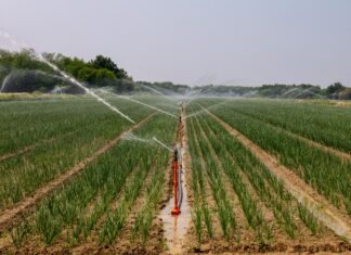 Waterschap grijpt in: vanaf donderdag geen water meer uit sloten en beken in Markelo Sproeien