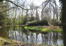 Sterrebos in Diepenheim het decor voor zomerdienst met muziek en bezinning Sterrebos