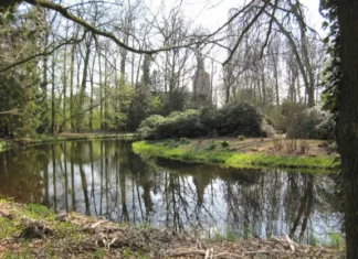 Sterrebos in Diepenheim het decor voor zomerdienst met muziek en bezinning Sterrebos