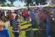 Distelfair Bentelo viert vijfjarig bestaan met gevarieerd programma Distelfair