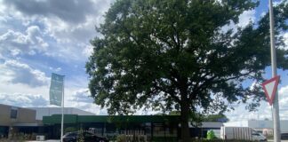 ECO Green Twente in Goor failliet: 16 werknemers getroffen, schuld van 1,5 miljoen euro Ecogreentwentepand